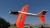 Ninco Air - 2-I-1 Glider - 120 Cm