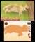 Nintendogs And Cats 3D Golden Retriever Select