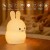Nitelite - Bunny - Qn0104