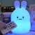Nitelite - Bunny - Qn0104
