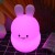 Nitelite - Bunny - Qn0104
