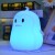 Nitelite - Penguin - Qn0101