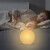 Nitelite Water Proof Lamp Ball - 2-I-1