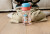 Nuby - Peppa Pig 2-In-1 Bottle - Pink - 550 Ml