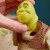 Numskull - Shrek Figur Julekalender - Med 24 Skuffer