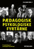 Pædagogisk Psykologiske Fyrtårne
