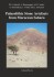 Palaeolithic Stone Artefacts From Moroccan Sahara