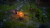 Pathfinder Kingmaker - Definitive Edition