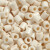 Photopearls - Medium - Lys Beige 12 - 1100 Stk - Nabbi Fotoperler