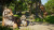 Planet Zoo 2