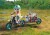 Playmobil Dinos - T-Rex Trace Path - 71524
