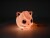 Pokemon - Jiggly Puff Led Lamp