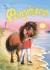 Ponyhjerte Ved Havet
