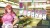 Pretty Girls Game Collection V