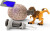 Primeal - Hatch Dino Hybrids Asst
