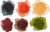Winsor Newton - Professional Watercolour - Rich Earth - 6X5 Ml