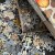Koustrup Co - Mushrooms Flora Danica Puzzle - 1000 Pieces