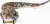 Rattler Rc Wlight Simulated Sound 2 4Ghz 65Cm - Animal Universe