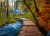 Ravensburger - Autumnal Wood Trail - 1000 - Beautiful Walkways