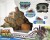 Real Wild - Giant Tarantula Spider 20316