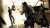 Resident Evil 5 Gold Edition Import