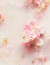 Rituals - The Ritual Of Sakura Large Giftset