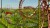 Rollercoaster Tycoon 3 - Complete Edition