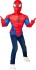 Rubies - Spider-Man Dress Up Set G40330Os000