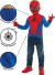 Rubies - Spiderman Kostume Sæt 110 - 116 Cm