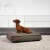 Sackit - Hundeseng Medium - 80X60X15 Cm - Cobana Sort
