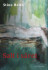 Salt I Såret