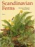 Scandinavian Ferns