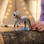 Schleich Horse Club - Andalusisk Hingst - 14895