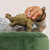 Schleich Dinosaur Figur - Ankylosaurus - 15023