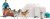 Schleich 42558 - Antarctic Expedition - Wild Life