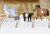 Schleich Bayala - Flowy Enhjørning Hoppe - 70823