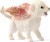 Schleich Bayala Dyr - Magisk Enhjørning Starter Set - 72290
