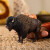 Schleich 14879 - Bison Tyr - Wild Life