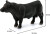 Schleich 13879 - Black Angus Tyr - Farm World