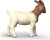 Schleich 14929 - Boer Ged - Farm World