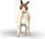 Schleich 14929 - Boer Ged - Farm World