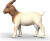 Schleich 14929 - Boer Ged - Farm World