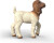 Schleich 14930 - Boer Gedekid - Farm World