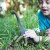Schleich Dinosaurs - Brachiosaurus - 14581