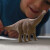 Schleich 15051 - Brontosaurus Dinosaur - Dinosaurs