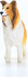 Schleich 13998 - Collie Hund - Farm World
