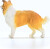 Schleich 13998 - Collie Hund - Farm World