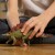 Schleich Dinosaurs - Stegosaurus - 15040