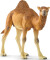 Schleich 14832 - Dromedar - Wild Life
