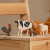 Schleich Farm World - Bondegårdsdyr - Starter Sæt - 42729